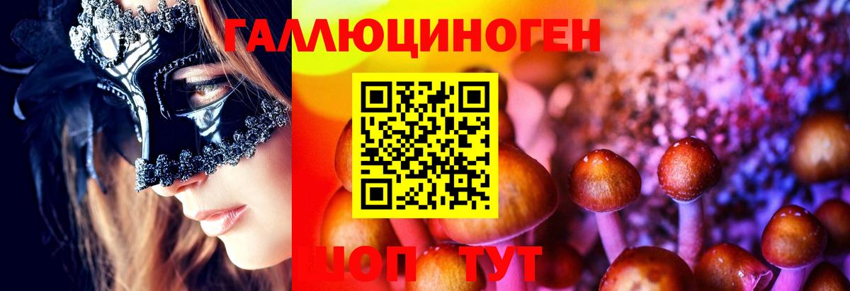 Галлюциногенные грибы Cubensis  Вход с VPN  Дубна 